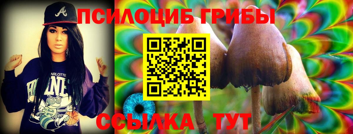 Галлюциногенные грибы GOLDEN TEACHER  Галлюциногенные грибы Psilocybine cubensis  Вход с VPN  Полысаево 