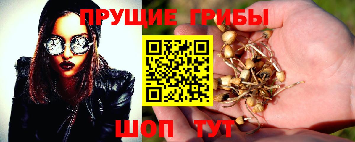 Псилоцибиновые грибы прущие грибы Полысаево